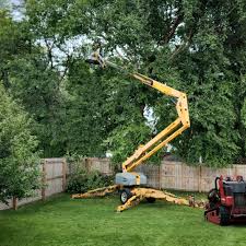 Best Leaf Removal  in Homedale, ID